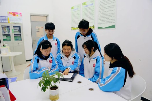 班主任专访 | 从“监督者”到“同行者”,她用心折射教育的温度(图16) 班主任专访 | 从“监督者”到“同行者”,她用心折射教育的温度(图16)