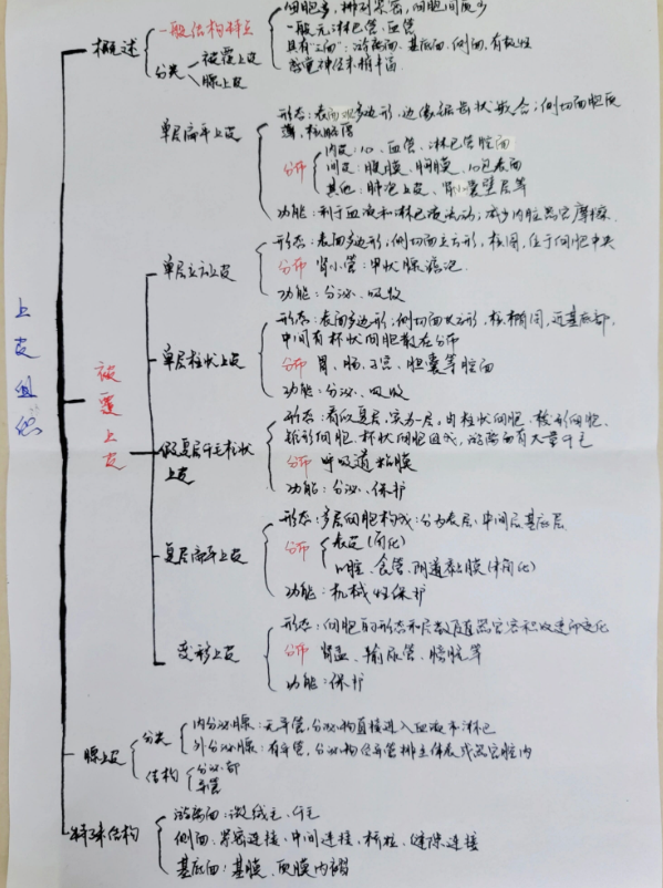 医科少年说 | 找对赛道，每一步都是加速跑！(图8)